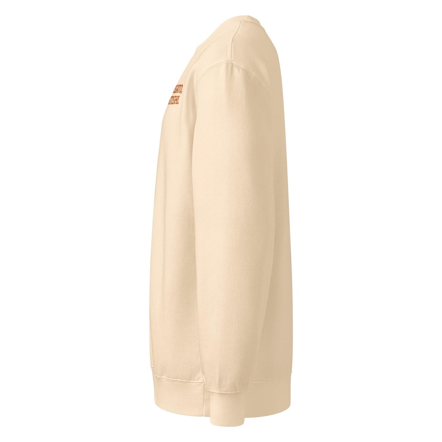 Satoshi Nakamoto Embroidered Cotton Sweatshirt, Soft Midweight Pullover